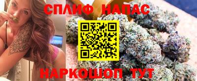 мдпв Донецк