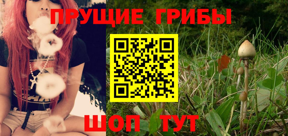 МЕФ   Сосновоборск  МЕТ  Альфа ПВП СК кристаллы  Конопля  Вход с VPN  COCAIN  ГАШ 